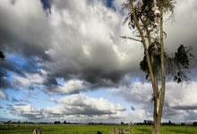 乐鱼体育：[NBA]霍姆格伦突破妙传 哈滕吃饼暴扣.