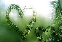 乐鱼体育：[NBA]霍姆格伦突破妙传 哈滕吃饼暴扣.